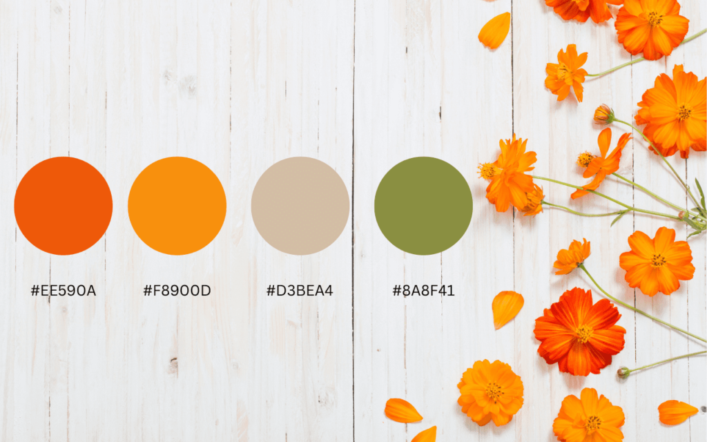 a summer color palette displaying bright orange hues derived from vivid orange summer flowers 